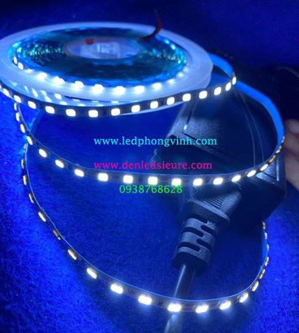 LED DÂY 5MM 12V 2835 120 BÓNG TRẮNG (BẢN HẸP)