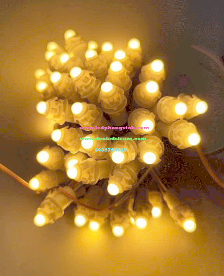 LED F5 12V VÀNG ẤM